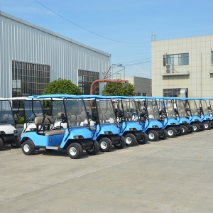 电动高尔夫交付