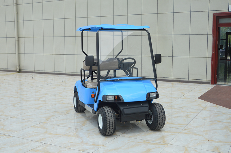 2座电动高尔夫(图1)