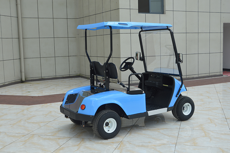 2座电动高尔夫(图3)