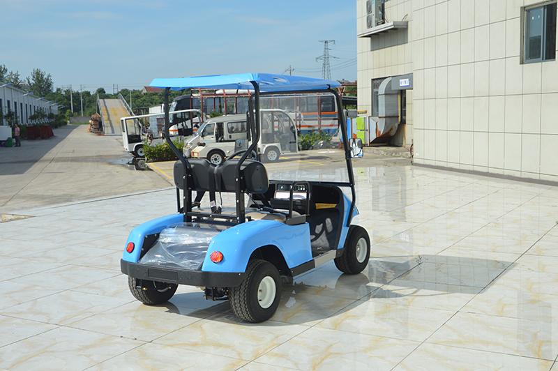 2座电动高尔夫(图6)